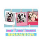 ダル生活（個別スタンプ：16）