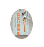 ダル生活（個別スタンプ：17）