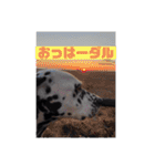 ダル生活（個別スタンプ：20）