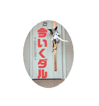 ダル生活（個別スタンプ：21）