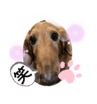 ジョンの日常会話 3（個別スタンプ：9）