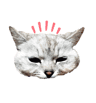 猫好き、スタンプ。2（個別スタンプ：2）