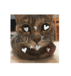 わんにゃんラムクロ（個別スタンプ：3）