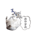 うちのLUNA（個別スタンプ：14）