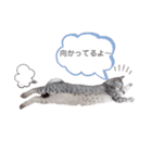 うちのLUNA（個別スタンプ：22）