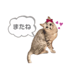 うちのLUNA（個別スタンプ：24）