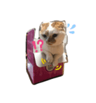 ごえもんみーちゃんと、ちょびんちゃん。（個別スタンプ：2）