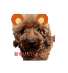 もんずーのあん（個別スタンプ：10）