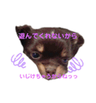 もんずーのあん（個別スタンプ：11）