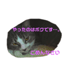 もんずーのあん（個別スタンプ：12）