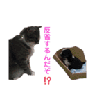 もんずーのあん（個別スタンプ：14）