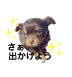 もんずーのあん（個別スタンプ：17）
