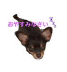 もんずーのあん（個別スタンプ：18）