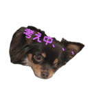 もんずーのあん（個別スタンプ：24）