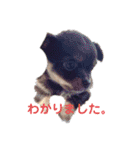 もんずーのあん（個別スタンプ：27）