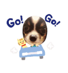 もんずーのあん（個別スタンプ：30）