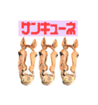 KINTAN牧場（個別スタンプ：3）