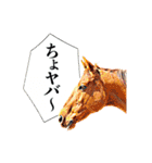 KINTAN牧場（個別スタンプ：6）