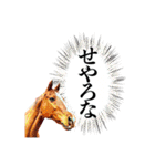 KINTAN牧場（個別スタンプ：8）