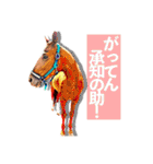 KINTAN牧場（個別スタンプ：11）
