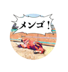 KINTAN牧場（個別スタンプ：17）
