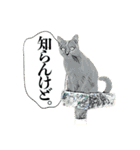 KINTAN牧場（個別スタンプ：19）