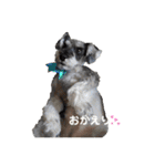 lotti❤︎（個別スタンプ：9）