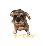 lotti❤︎（個別スタンプ：20）