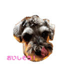 lotti❤︎（個別スタンプ：21）