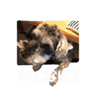 lotti❤︎（個別スタンプ：22）