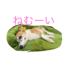 水道屋の仔 スイちゃん（個別スタンプ：1）