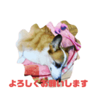 水道屋の仔 スイちゃん（個別スタンプ：7）