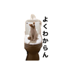 猫スタⅡ（個別スタンプ：4）
