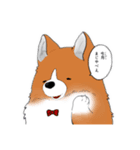 いぬぺぺぺ（個別スタンプ：1）