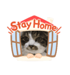 ねこのスローライフ スタンプ（個別スタンプ：4）