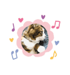 ねこのスローライフ スタンプ（個別スタンプ：7）