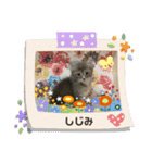 ラガマフィンのしじみ（個別スタンプ：4）