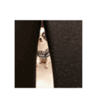 白黒めいちゃん③（個別スタンプ：31）
