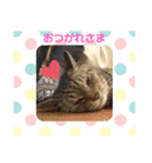 mimi yuki azuki mona hana（個別スタンプ：3）
