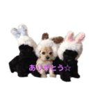 ののプリュリッキー（個別スタンプ：1）