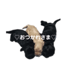 ののプリュリッキー（個別スタンプ：4）
