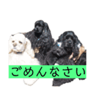 ののプリュリッキー（個別スタンプ：14）