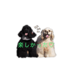 ののプリュリッキー（個別スタンプ：15）