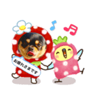 チワワの丸（個別スタンプ：1）