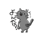 ぐれねこ（個別スタンプ：2）