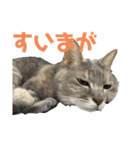 眠いだけのスタンプ（個別スタンプ：7）