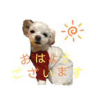 るあなずすたんぷ2（個別スタンプ：3）
