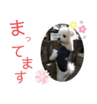 るあなずすたんぷ2（個別スタンプ：6）