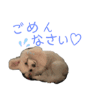 るあなずすたんぷ2（個別スタンプ：7）