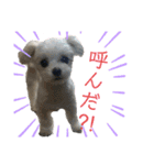 るあなずすたんぷ2（個別スタンプ：8）